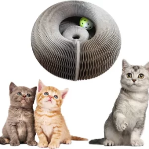 import placeholder for 15737